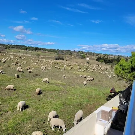 Appartamento Cesaria Loupian